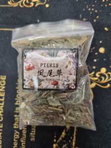 Pteris Herb – Natural Dried Botanical Leaves (10g)